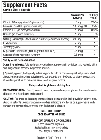 SAMethylate Plus